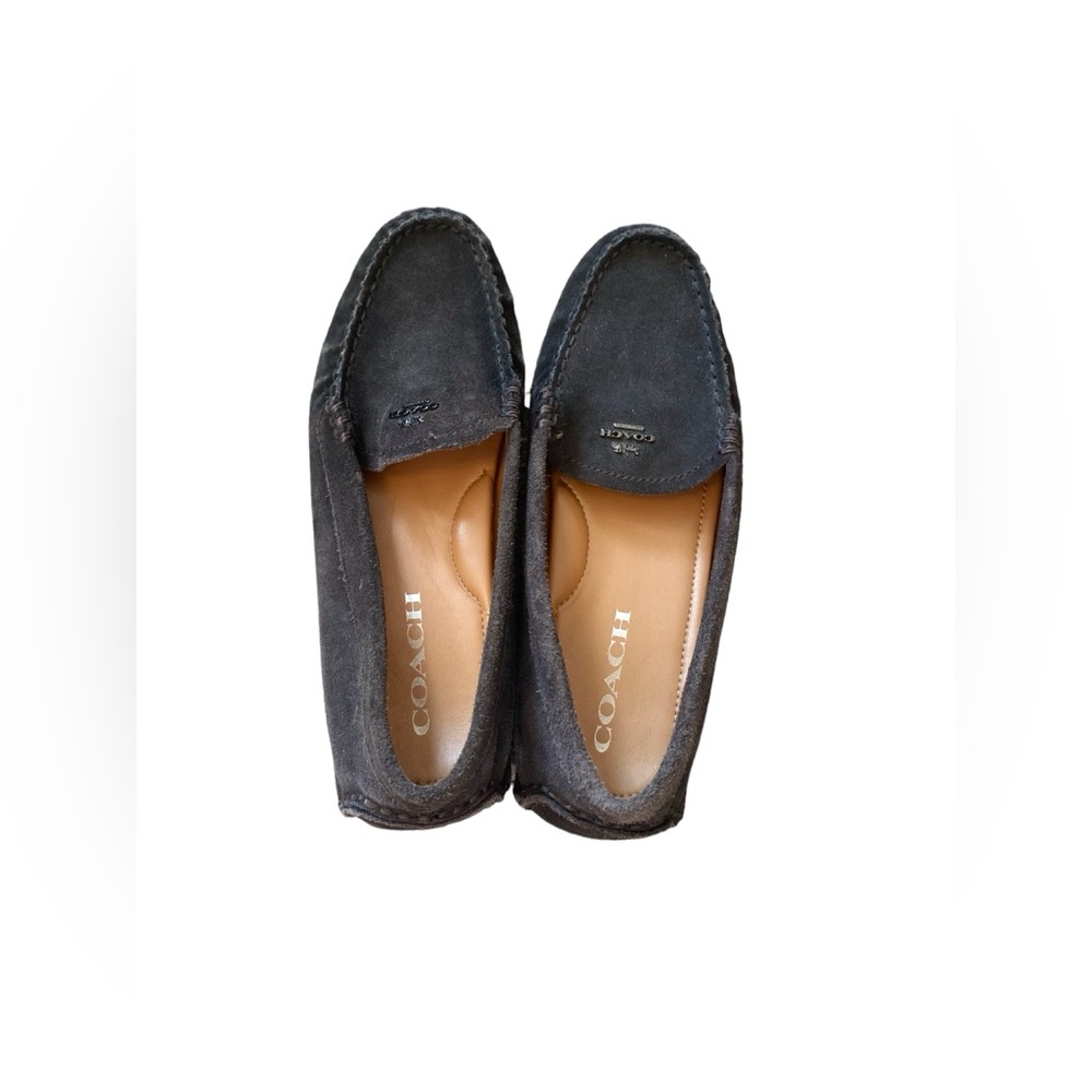 Coach York Loafer